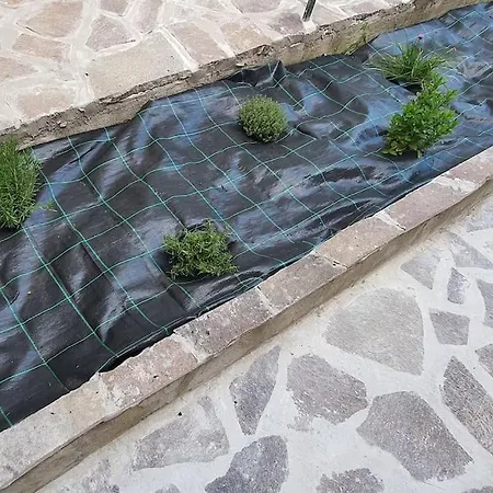 Eco Di Beppina Con Giardino - Self Check-in *
